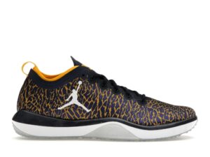 Jordan Trainer 1 Low Michigan