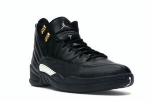 Air Jordan 12