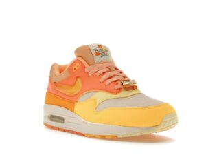 Nike Air Max 1