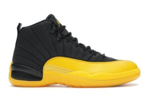 Air Jordan 12
